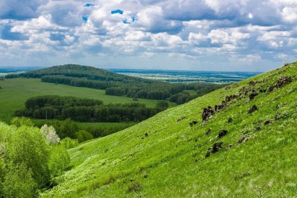 Памятники природы новосибирска