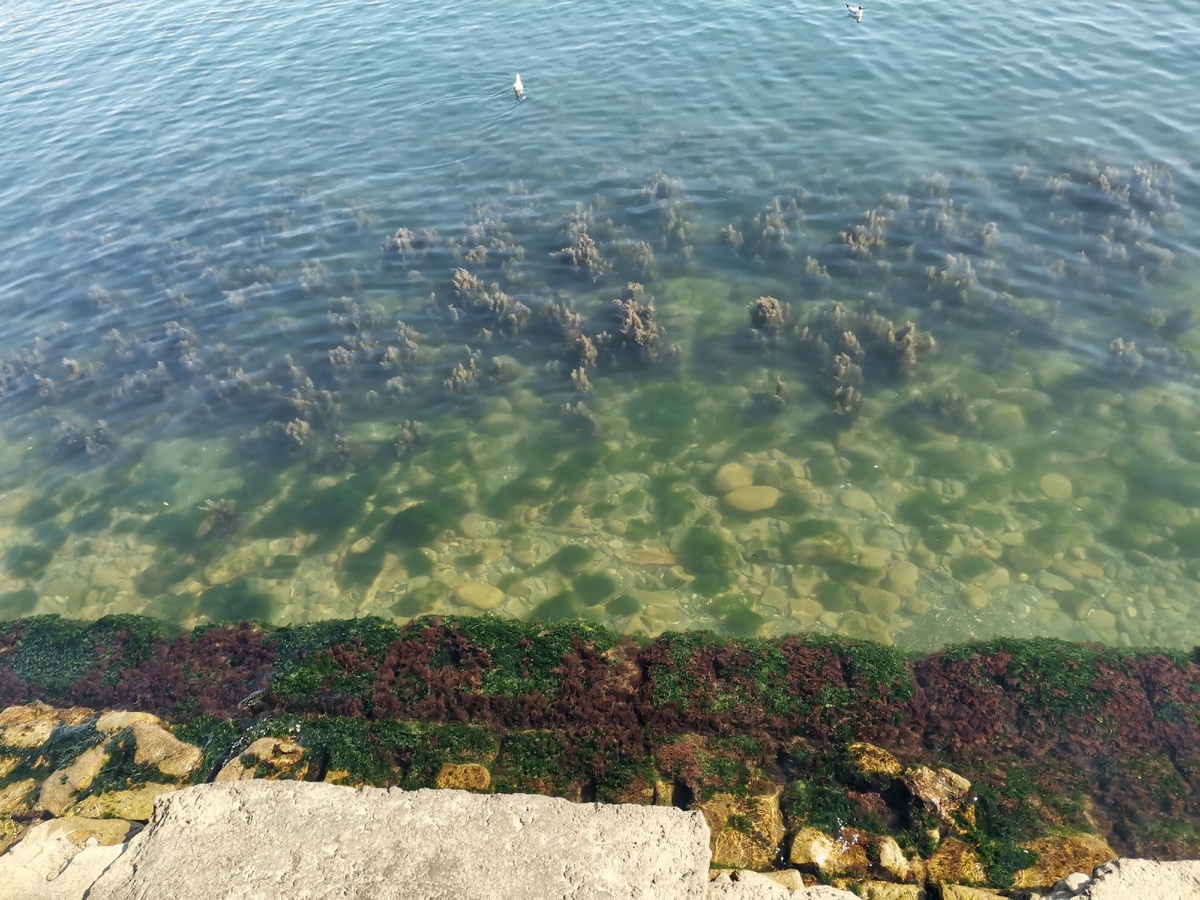 Супер спокойное море в районе морвокзала.