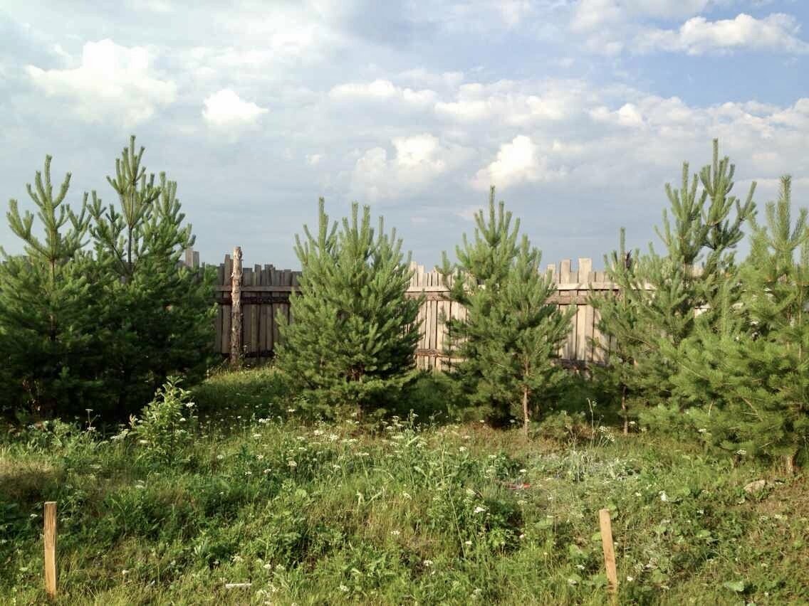 Так выглядел участок на момент покупки в 2011 году