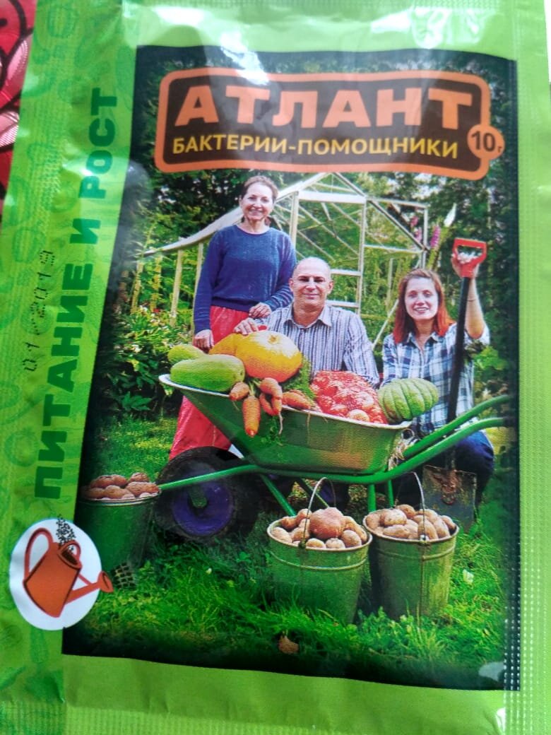 Атлант.