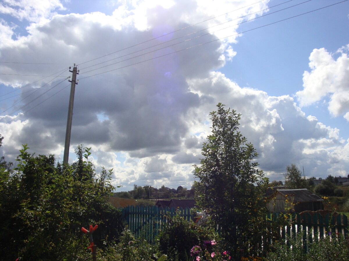 Прекрасная летняя пора