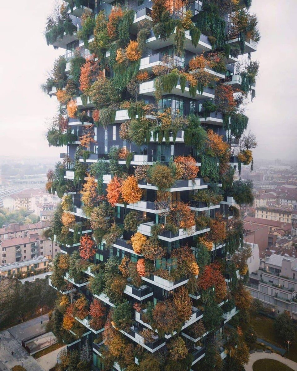 Жилой комплекс вертикальный лес Милан