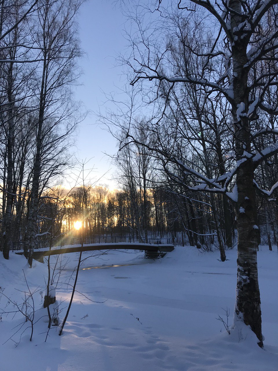 "Богословка" и Невский лесопарк зимой