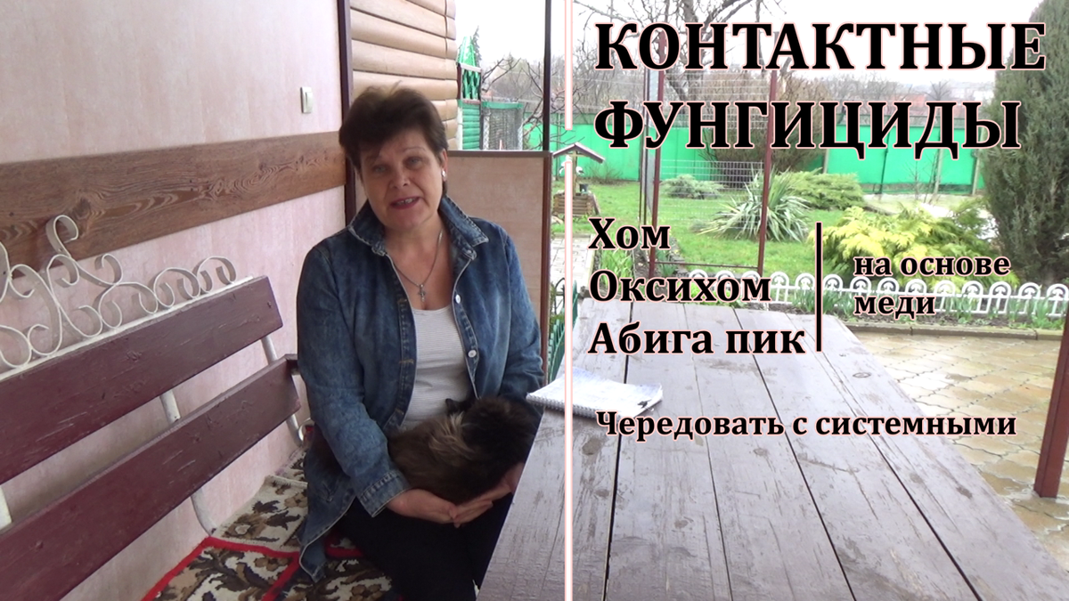 Какие препараты применить для эффективной обработки роз от болезней ...