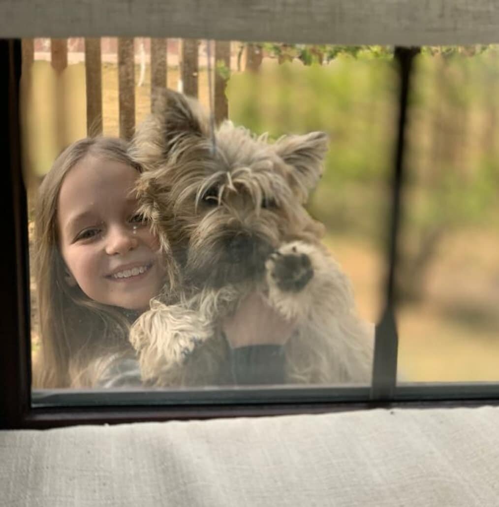 Детей постарше можно учить более тесному общению. Надо объяснить, что щенок он такой, какой есть, что не надо стремиться его быстро «переделать». Но при этом необходимо быть настойчивым и последовательным, добиваясь от него правильного поведения. Лакомство помогает щенку учиться, но необходимо соблюдать меру.