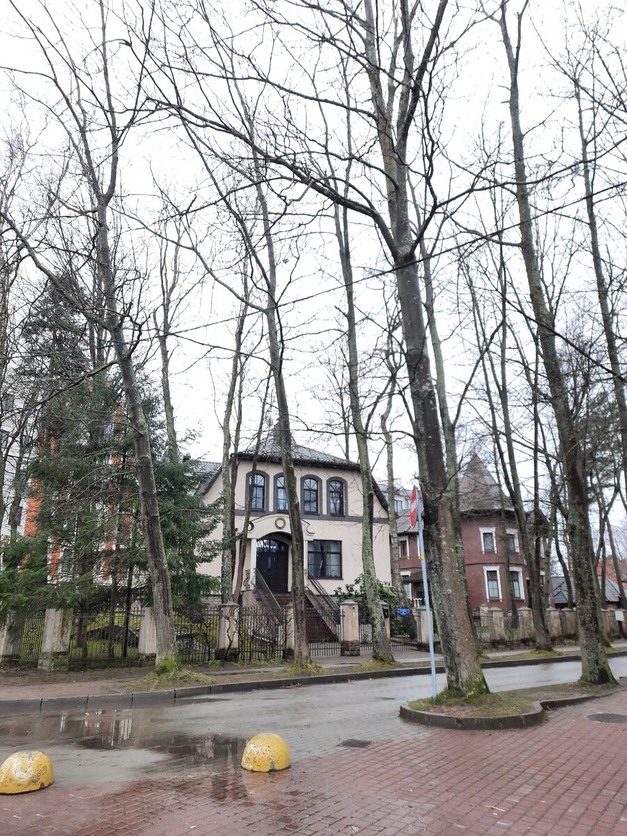 Фото автора Светлогорск