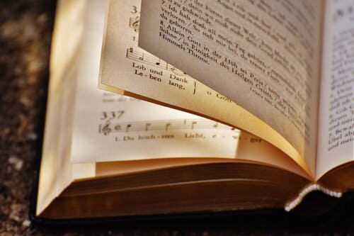 источник - pexels.com