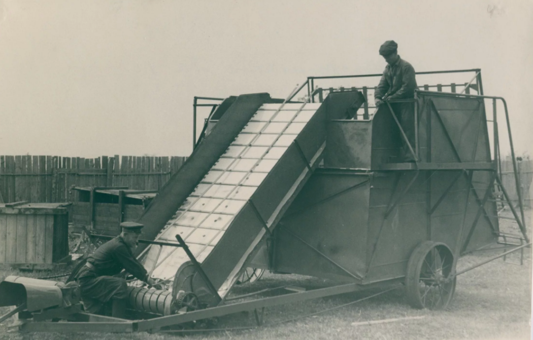 фото с Яндекса.