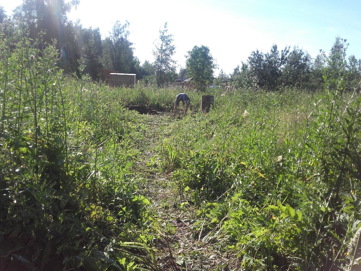 С чего начинается загородная жизнь