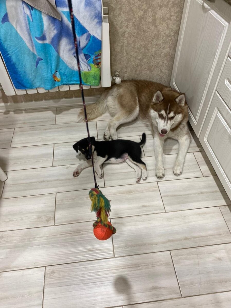 Игрушка из шнурков и старого мячика