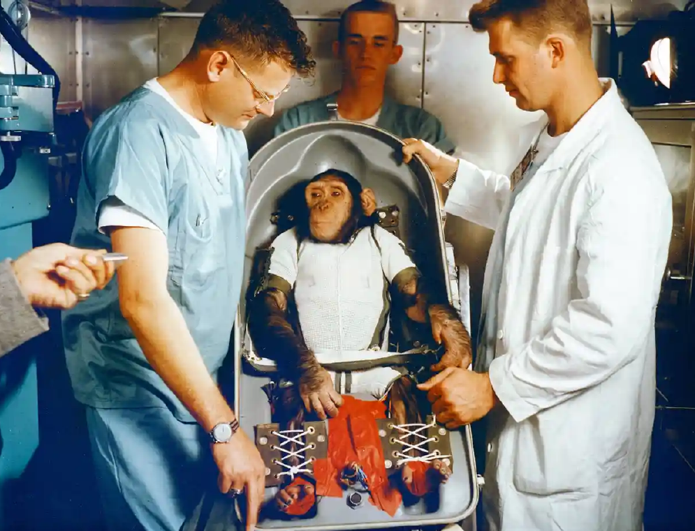 Photograph: NASA Photograph: NASA