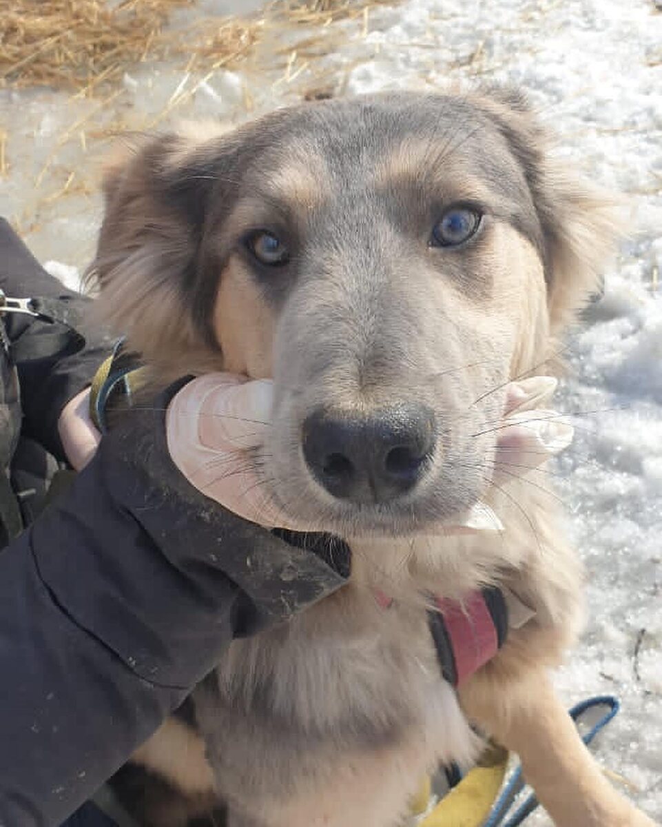 Волонтеры стараются помочь детям