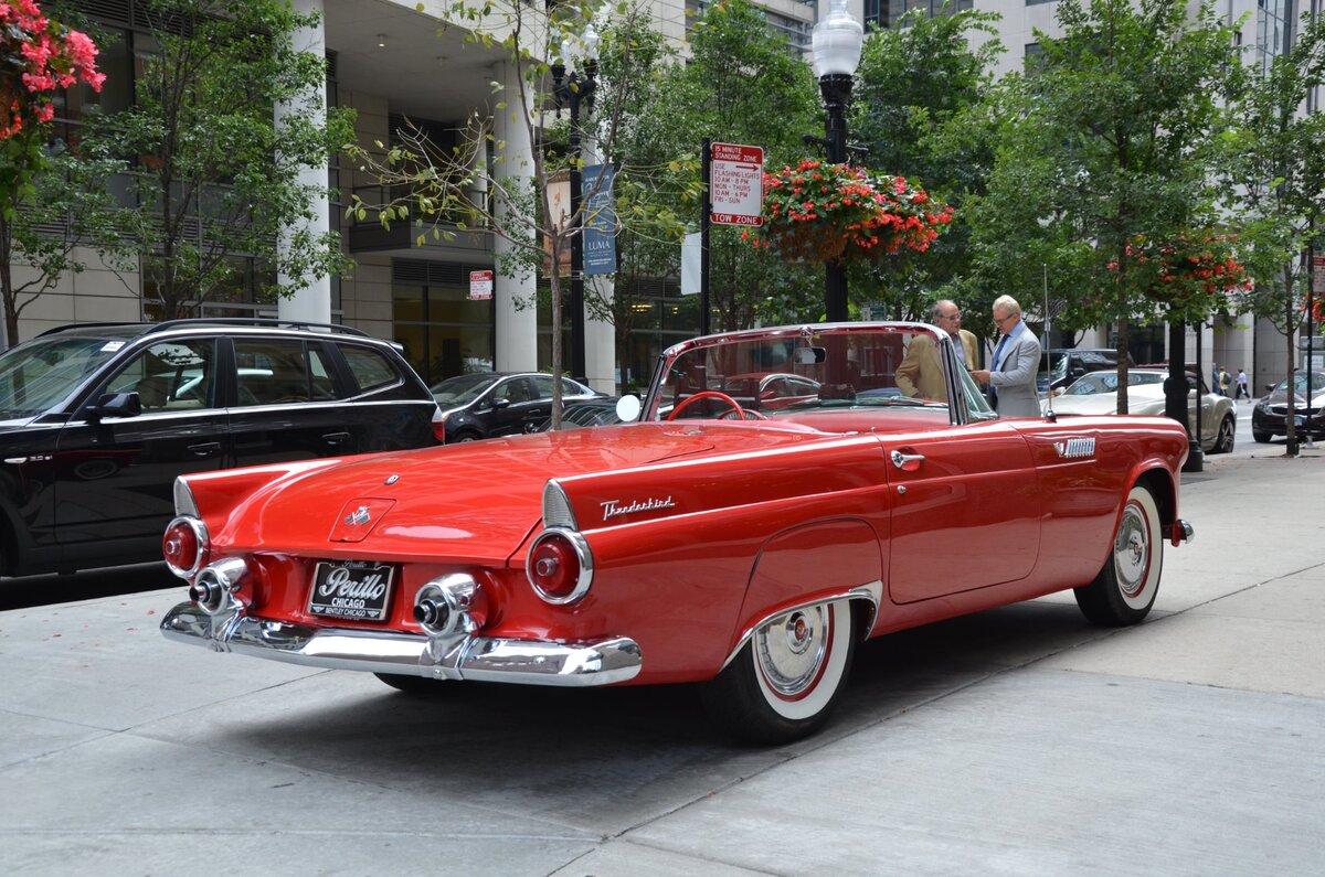 1955 ford thunderbird