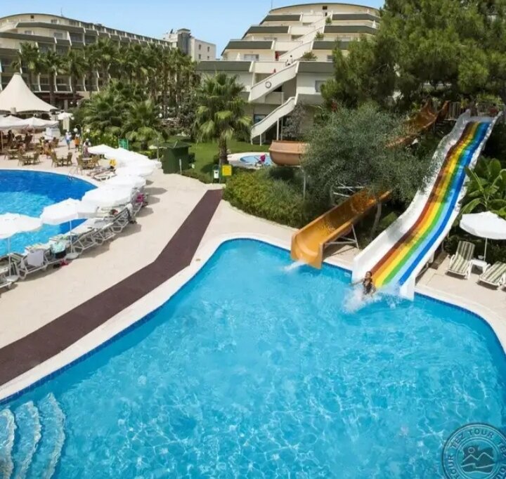 Яндекс Картинки