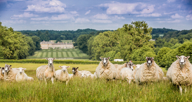 ����: boughtonhouse.co.uk