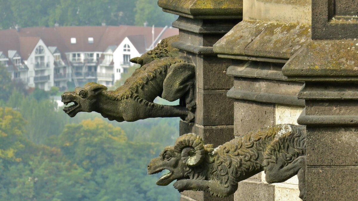 Фото из личных архивов.