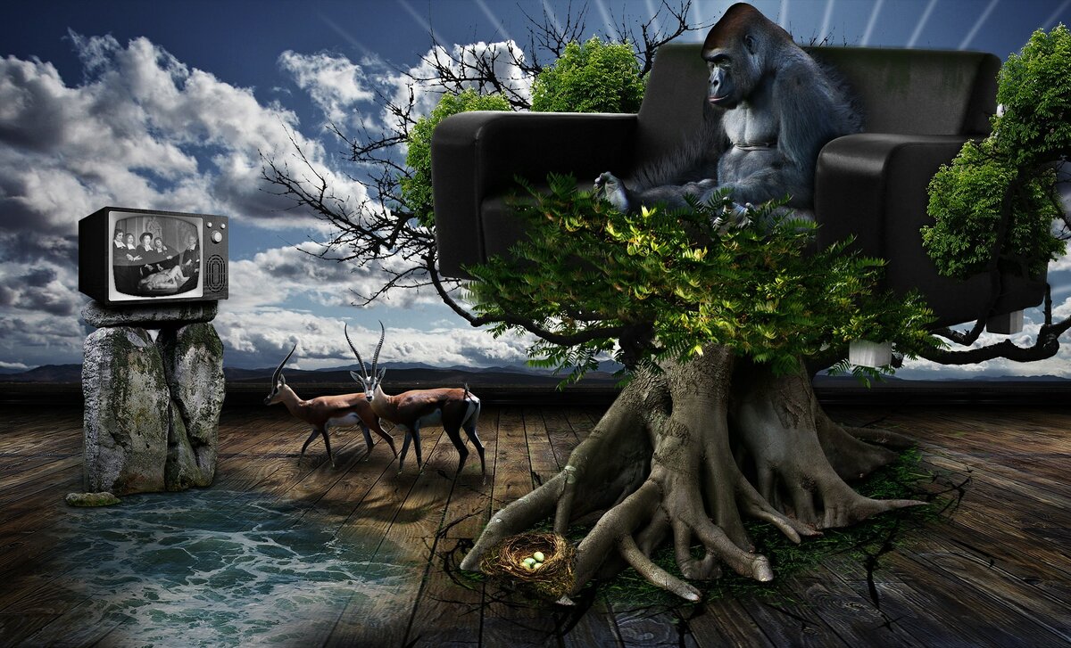 Фото с сайта https://pixabay.com