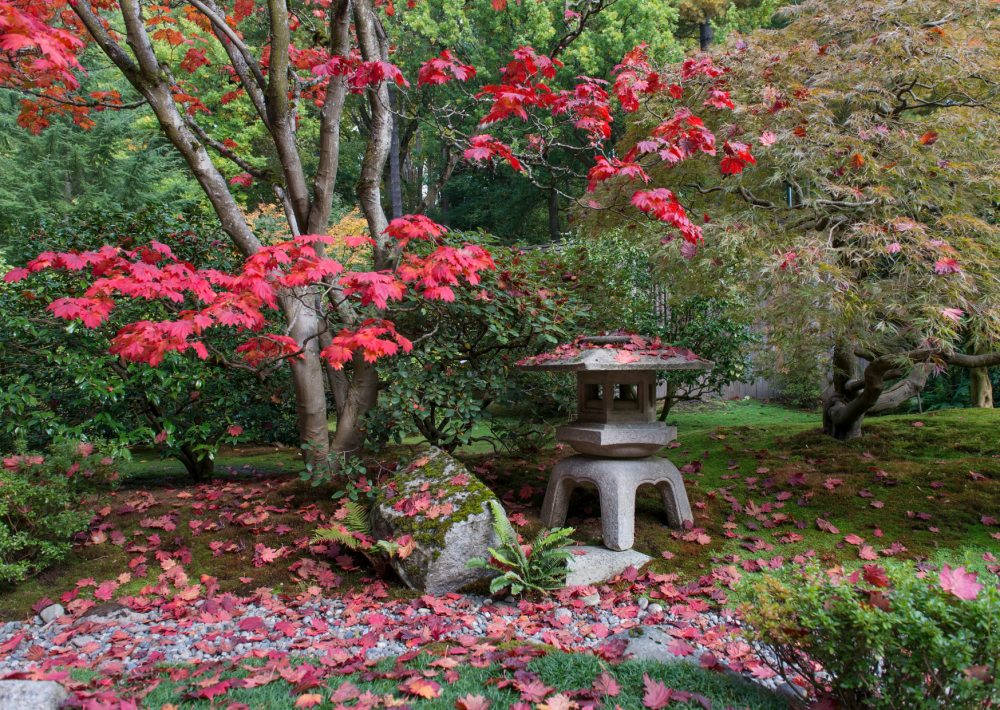 Японский стиль в ландшафтном дизайне - Gdesemena.ru