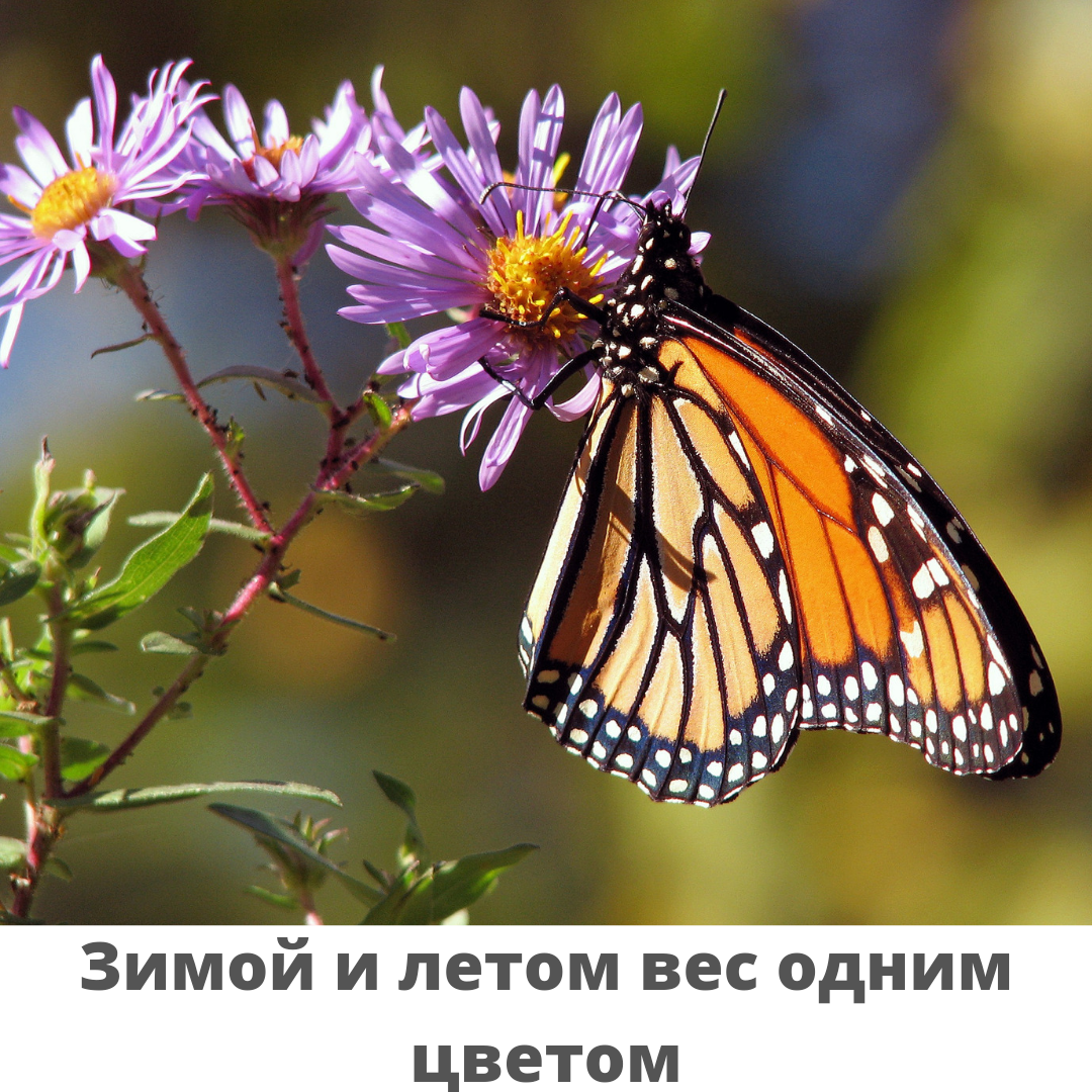 Так говорила одна из клиентов 