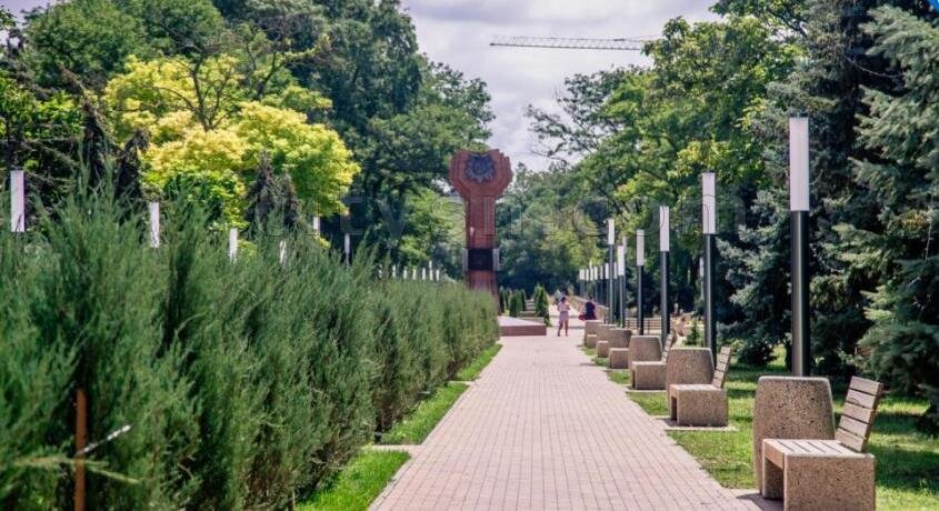 Фото: https://citysn.com/