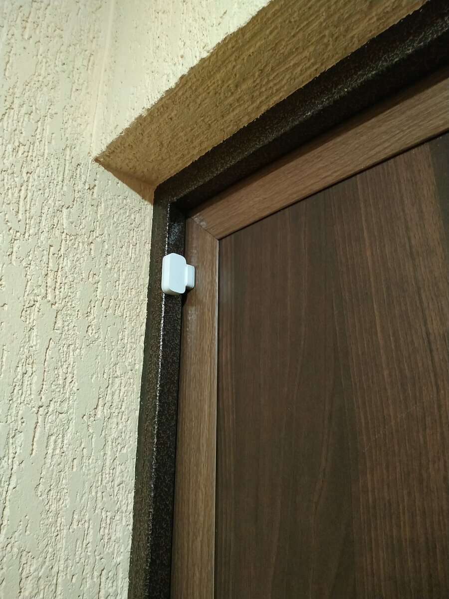 На входной двери приклеины два маленьких элемента без проводов.