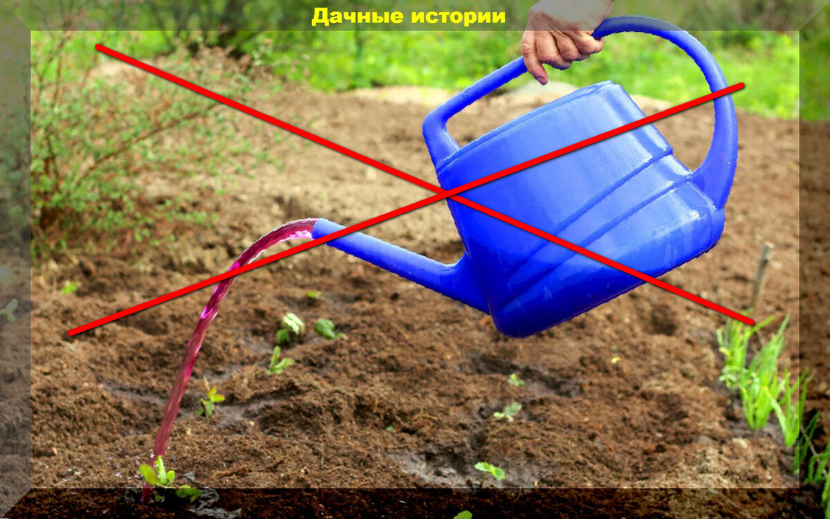 https://vk.com/photo-159774511_457246934