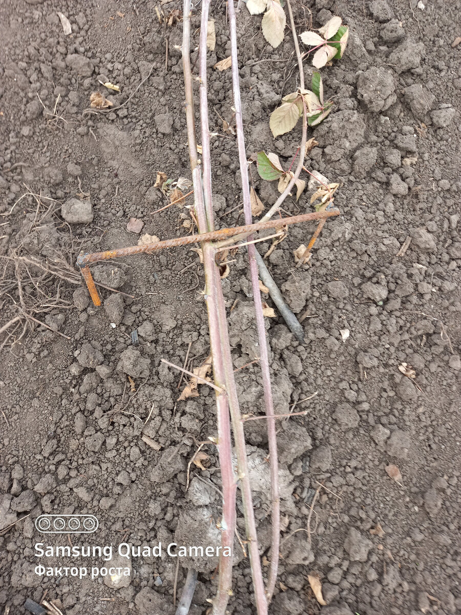 Фото из архива автора