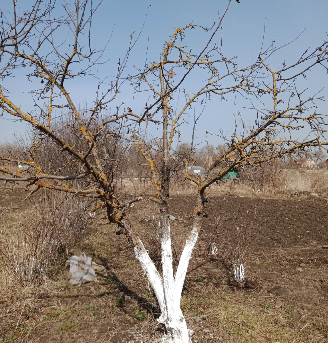 Фото автора.