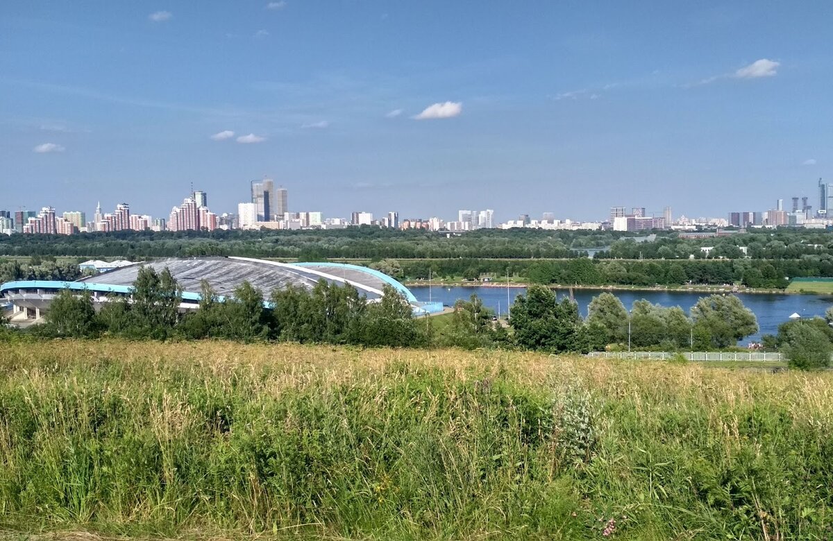 Вид на Москву с «Крылатских холмов» летом. Фото: Canva