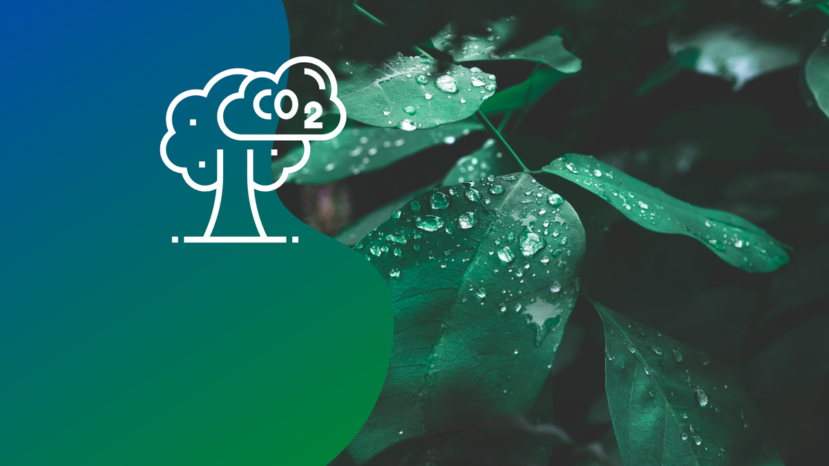 В центре внимания — подготовка площадки, оснащение оборудованием и работа с партнерами