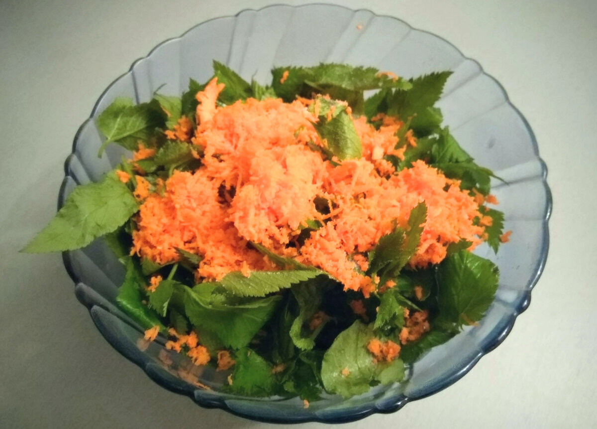 Квасим сныть