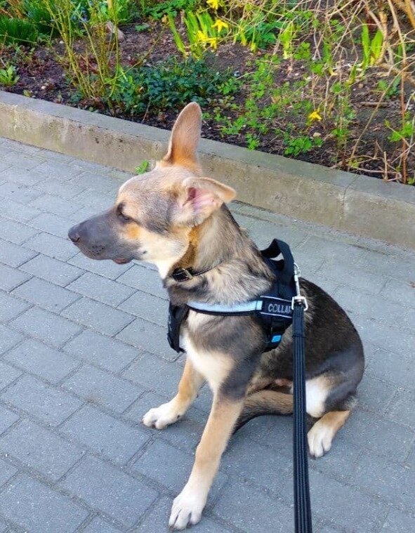 Да я их одной левой!