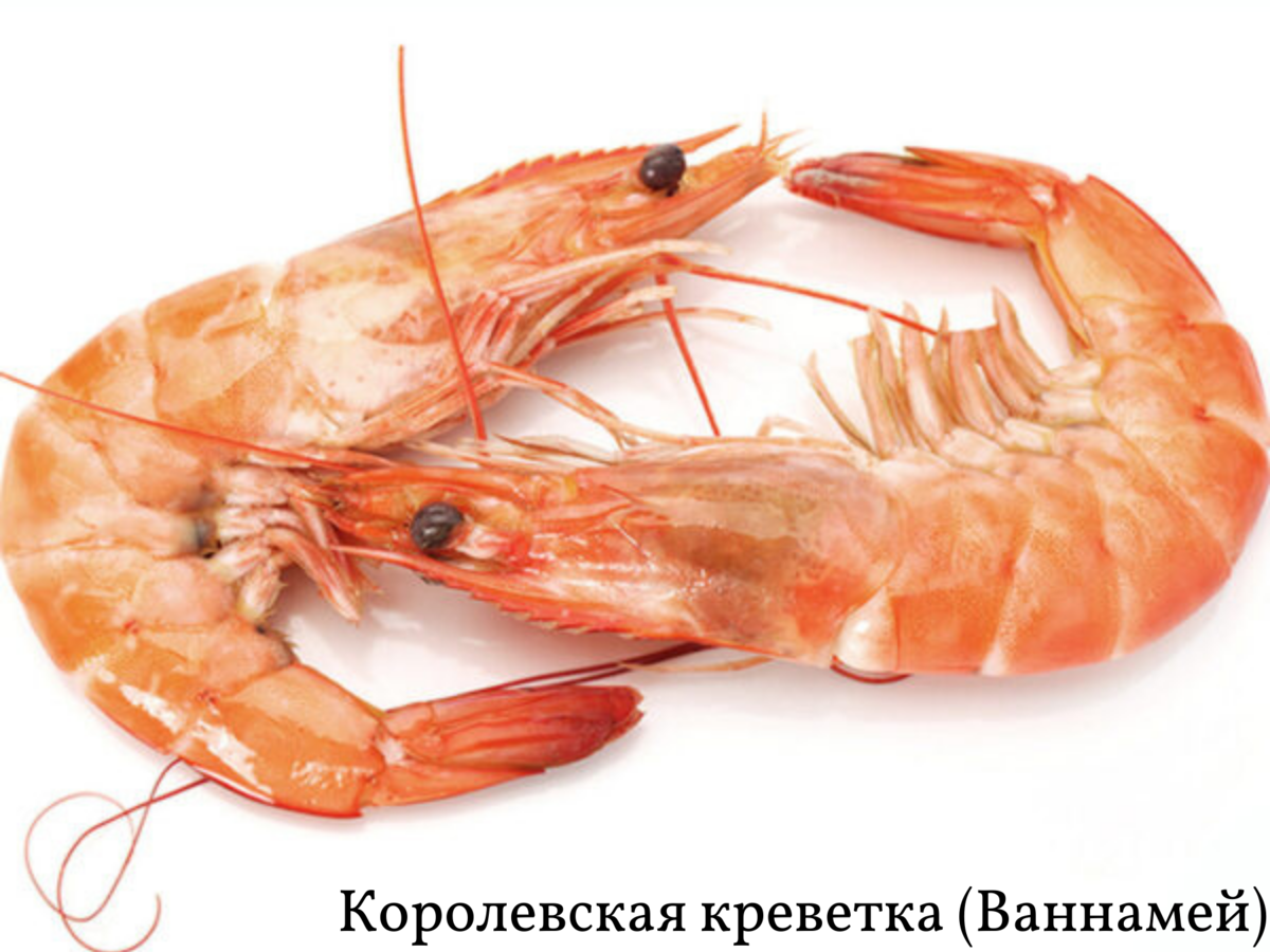 Вареная королевская креветка