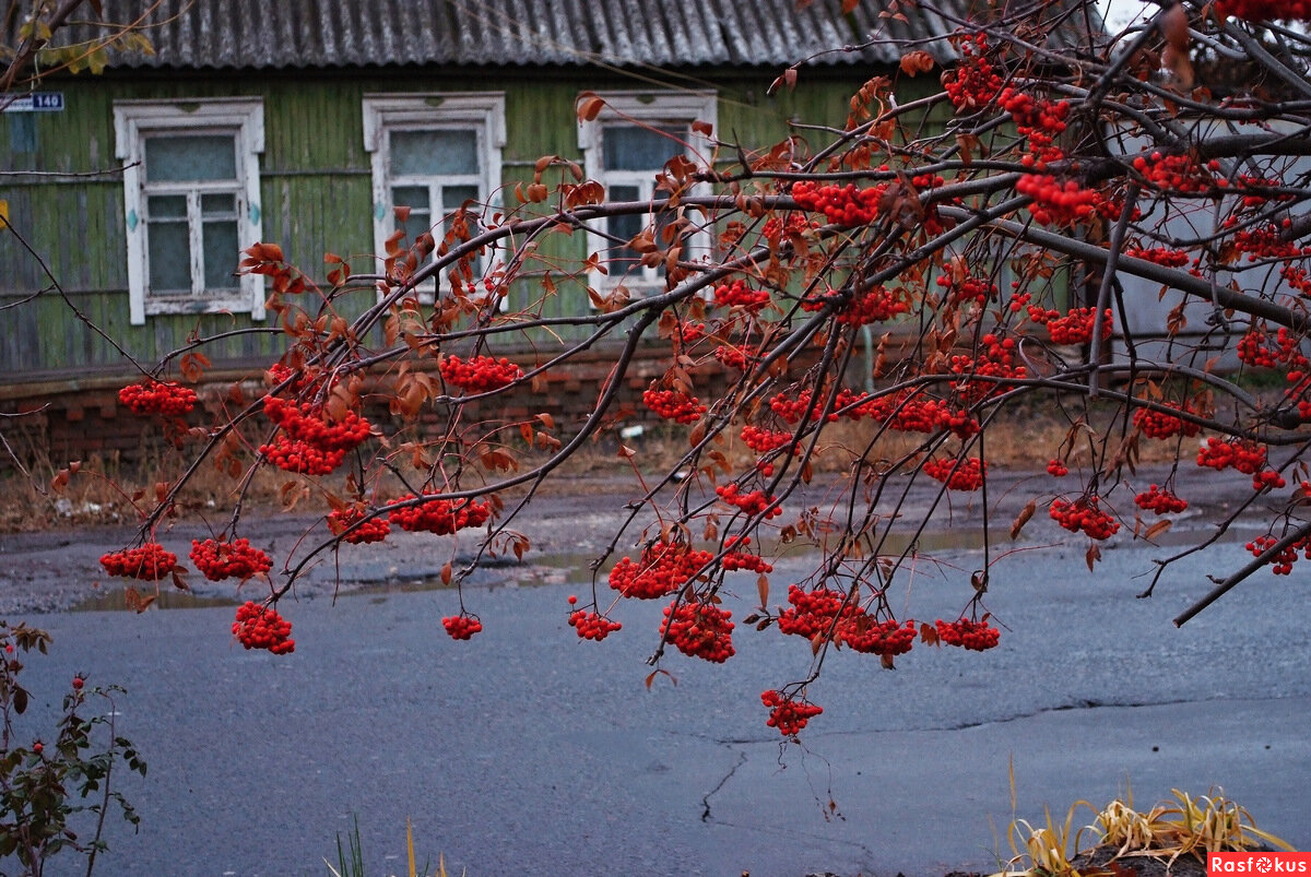 яндекс картинки