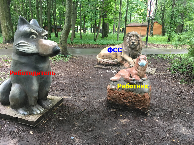 Фото снято автором поста в Химках