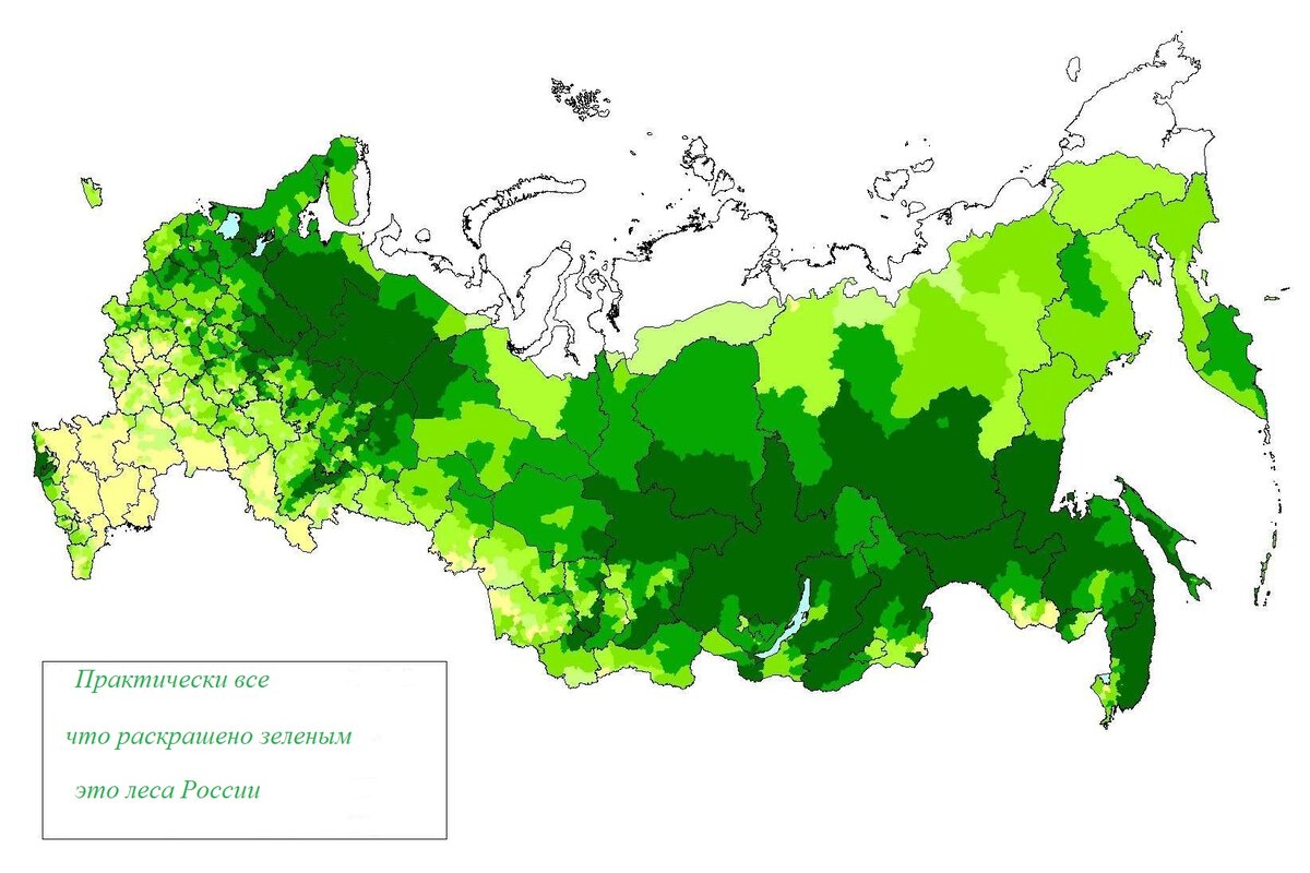 Подробная карта лесов россии