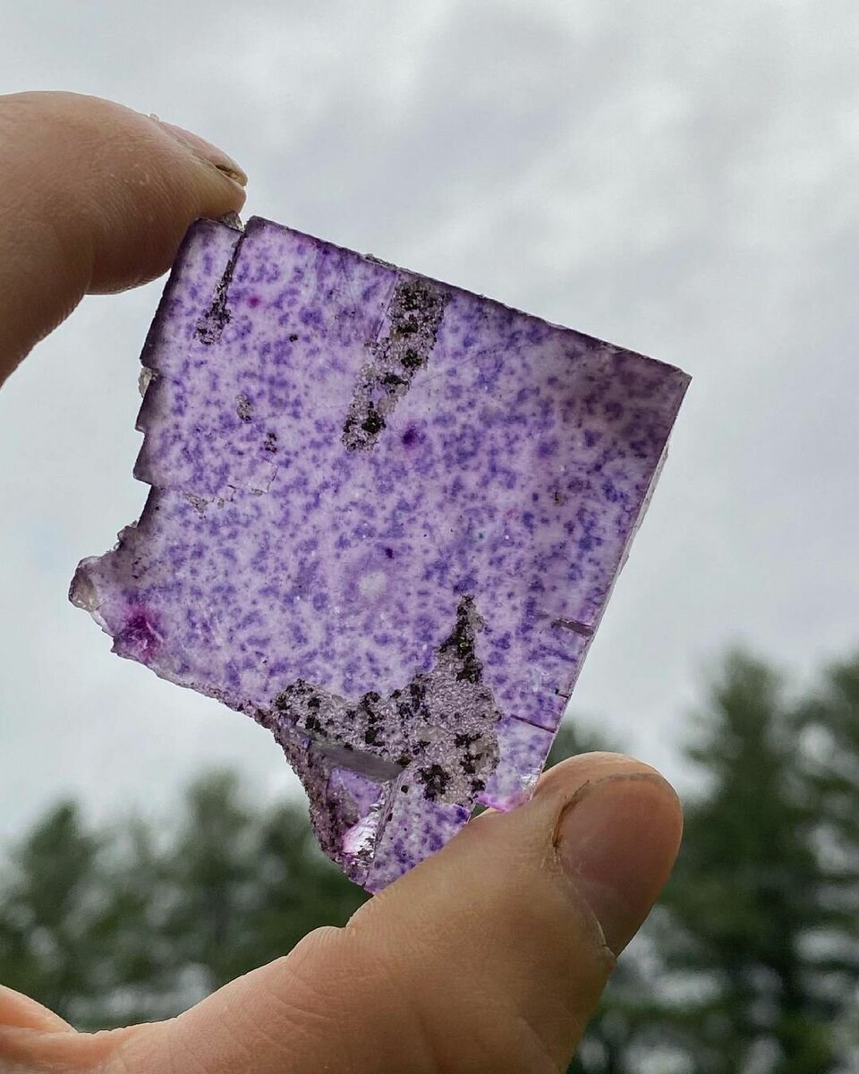 Источник фотографии: https://clck.ru/XHFF7