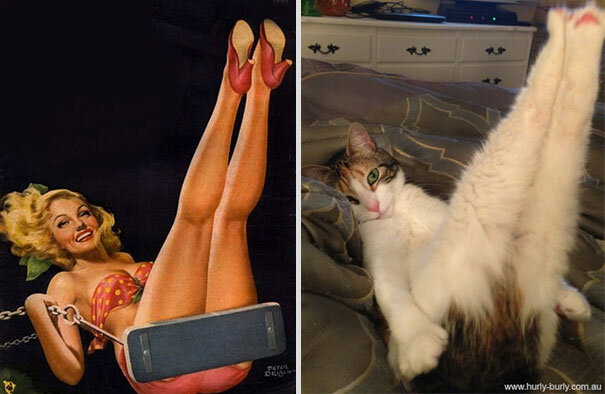 Фото: catsthatlooklikepinupgirls.tumblr.com 