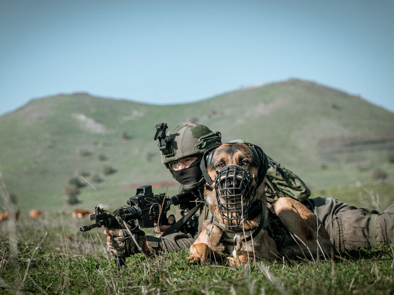 Фото: Israel Defense Forces