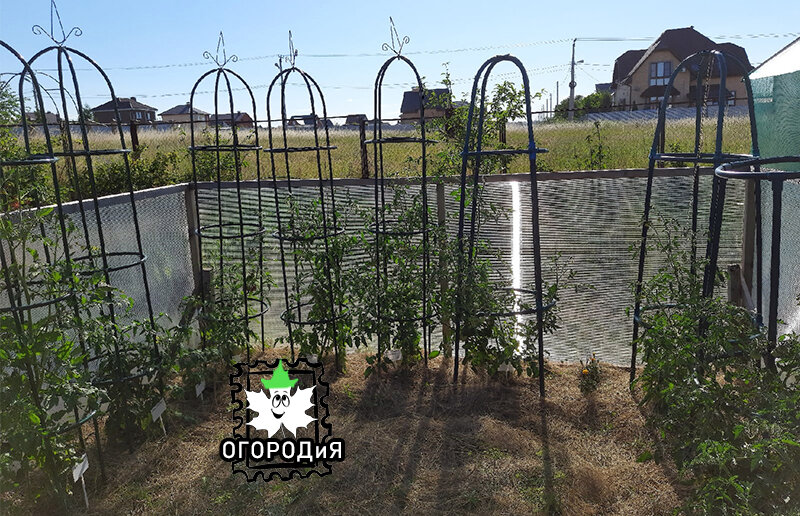 Ничто не предвещало...