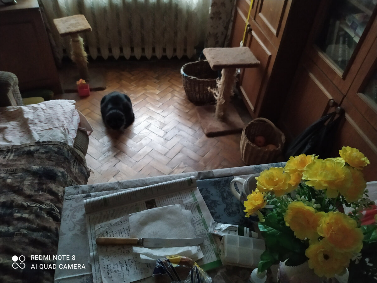 Печеня и таблетница. Около жёлтых цветочков лежит белая, полупрозрачная, видите? Можно тут, вроде, открыть эту фотку отдельно и приблизить ее. 