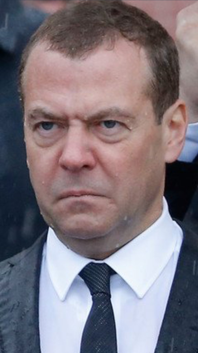 Дмитрий Медведев. Изображение из открытых источников