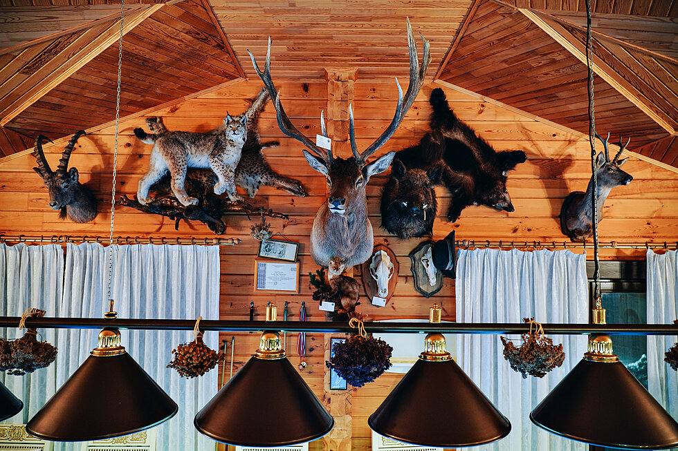 вот он, посредине! красавец )