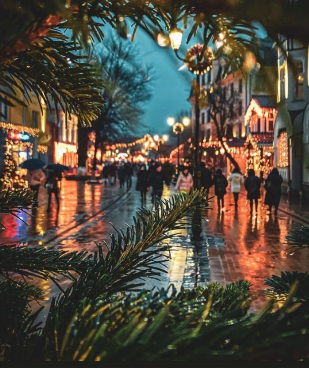 Зеленоградск