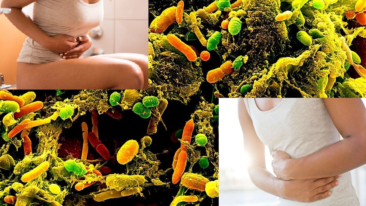 Микробиом (microbiom, микробиота, микрофлора) — это совокупность организмов, которые живут в наших телах: всевозможные бактерии, вирусы, грибки, простейшие и гельминты, а также их гены в любой форме.