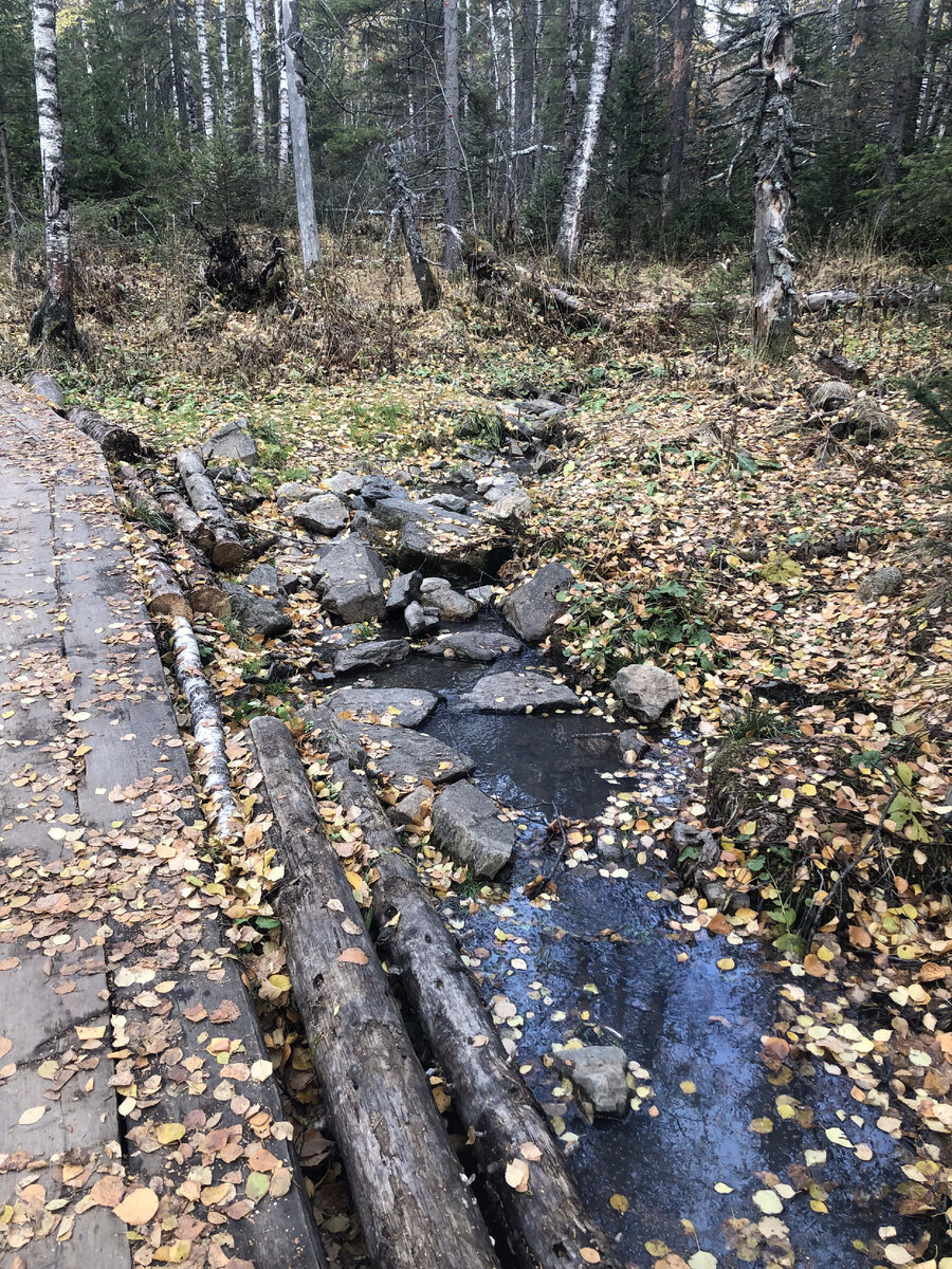 По тропе есть место с ручьем 