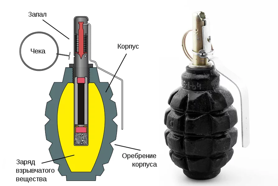 Ф 1.1 ф 1.2. Устройство гранаты ф1 схема. Части гранаты ф1. Граната f-1 схема. Граната ф1 устройство.