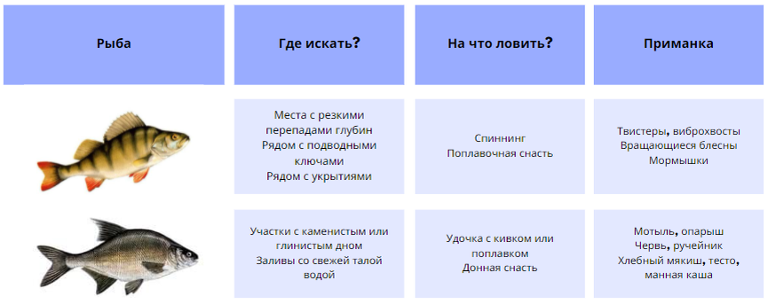 В какую погоду лучше ловить рыбу