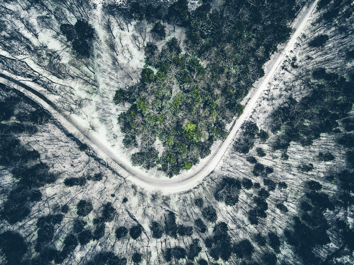 Источник: unsplash.com