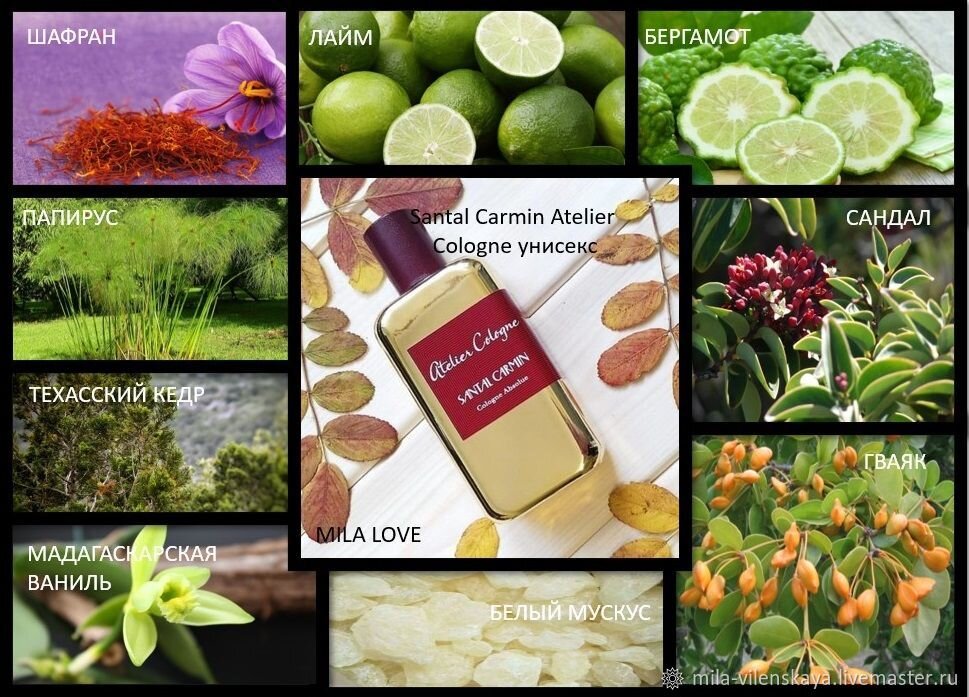 Ингредиенты для изготовления духов. Материал взят из свободного источника.